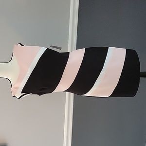 Dressbarn Size 4P Dress New With Tags